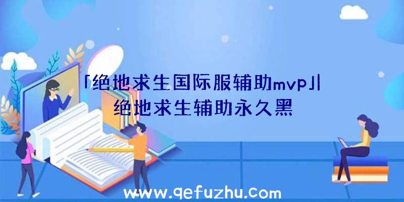 「绝地求生国际服辅助mvp」|绝地求生辅助永久黑